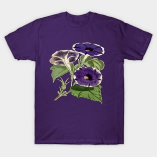 Ipomoea Limbata Morning Glories Floral Vector Art T-Shirt